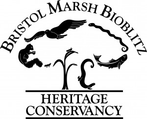2013 Bioblitz Logo